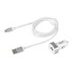 KIT POUR IPHONE 5/6 AC + CABLE 