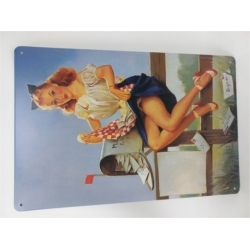 PA6 PLAQUE PUB 20x30cm PIN'UP BOITE AUX LETTRES