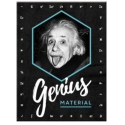 AIMANT METAL EINSTEIN GENIUS MATERIAL 6x8cm