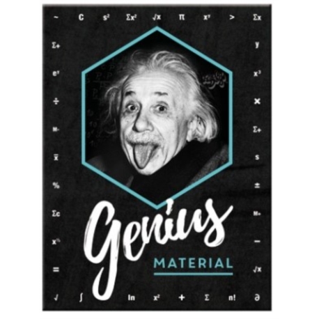 AIMANT METAL EINSTEIN GENIUS MATERIAL 6x8cm