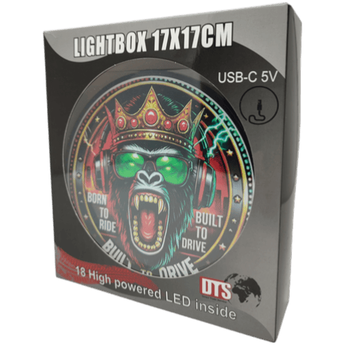 ENSEIGNE LUMINEUSE BORN TO RIDE 17X17 USB 18 LEDS