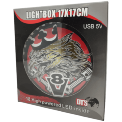 ENSEIGNE LUMINEUSE EAGLE KING OF THE ROAD RED 17x17 USB 32 LEDS